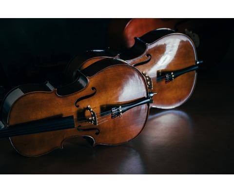  Musica medicina dell'anima
